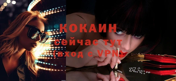 гашик Бикин