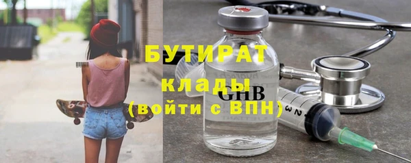 индика Коряжма