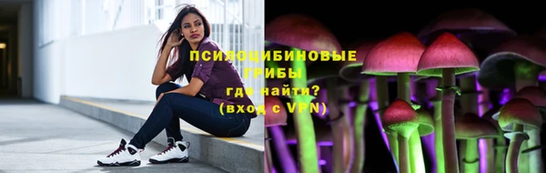 прущие грибы Киреевск