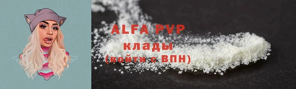 индика Коряжма