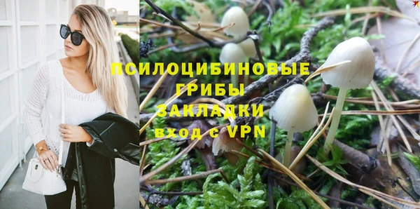 a pvp Кодинск