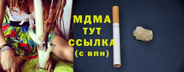 индика Коряжма
