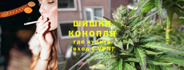 индика Коряжма