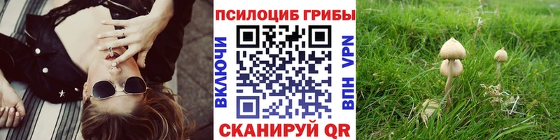 Галлюциногенные грибы ЛСД  купить   kraken tor  Конаково 