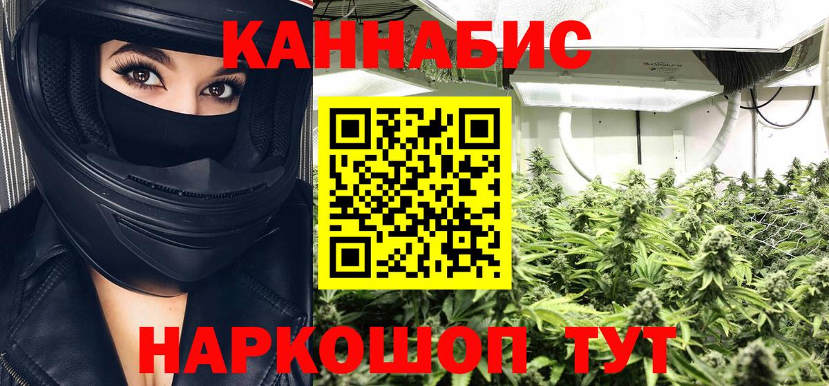 Бошки Шишки сатива Конаково